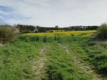 Les Lacs de l'eau d'Heure, Froidchapelle (België)